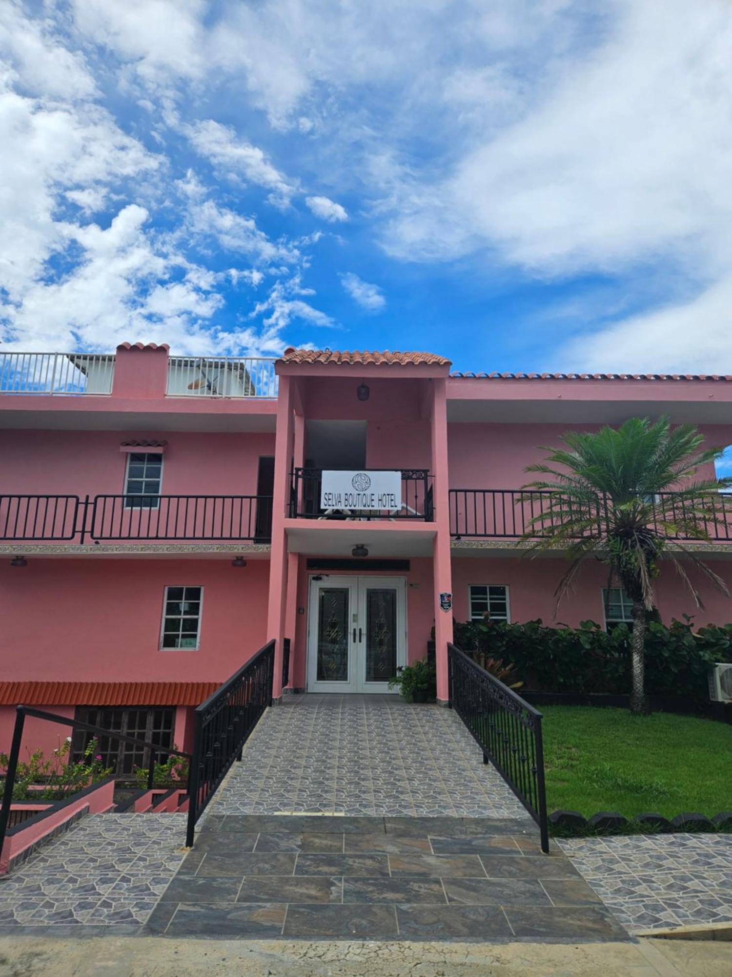 Selva Boutique Hotel - Luquillo Oceanfront Retreat - Adults Only Екстериор снимка