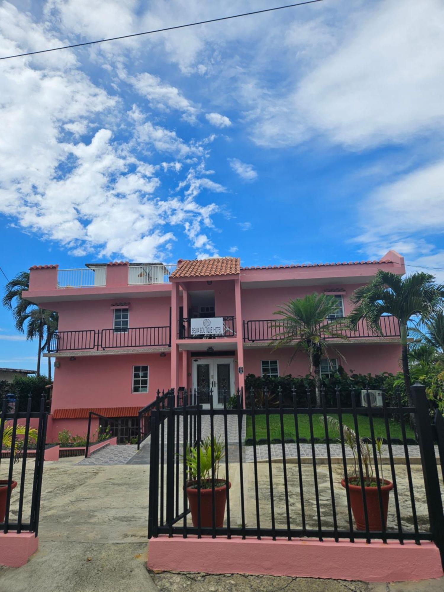 Selva Boutique Hotel - Luquillo Oceanfront Retreat - Adults Only Екстериор снимка